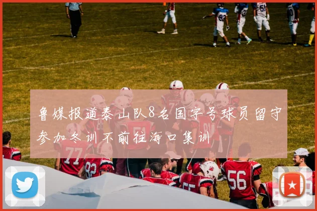 鲁媒报道泰山队8名国字号球员留守参加冬训不前往海口集训