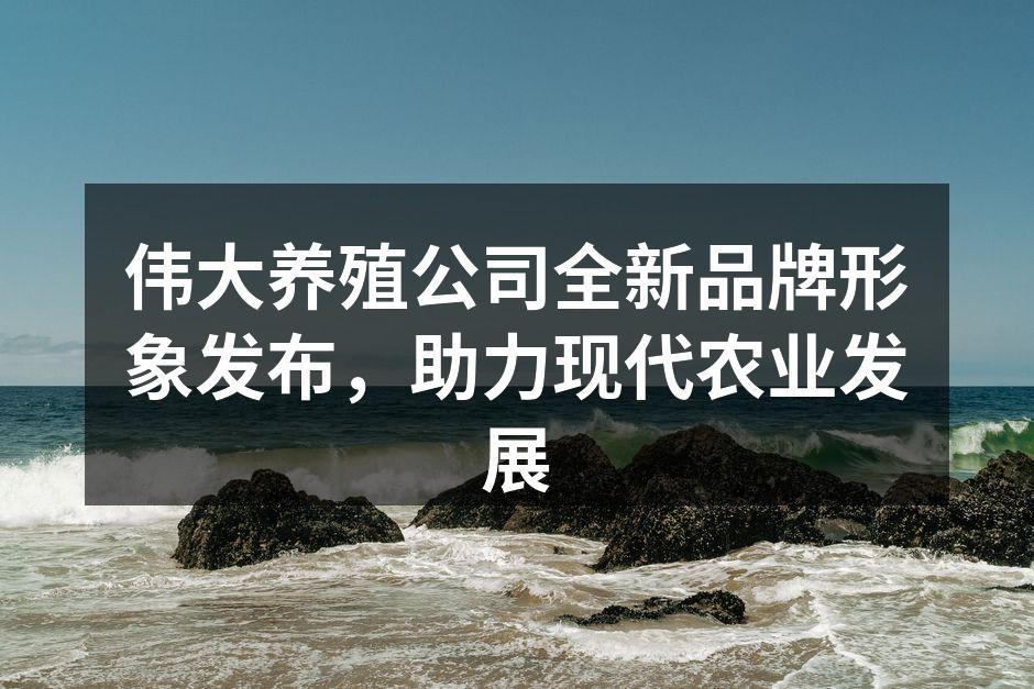 全新品牌形象展示