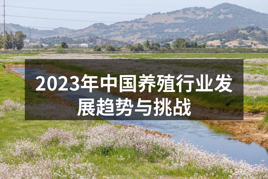 智能化养殖技术提升了效率